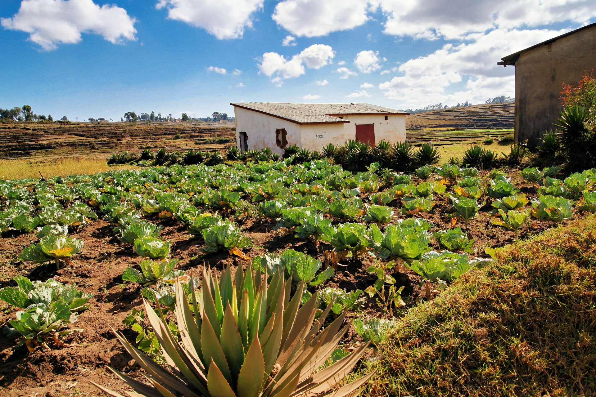 Wanderung vom Lac Tritriva zum Lac Andraikiba